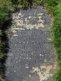 image of grave number 586522